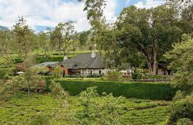 Step into History: The British Colonial Plantation Bungalow